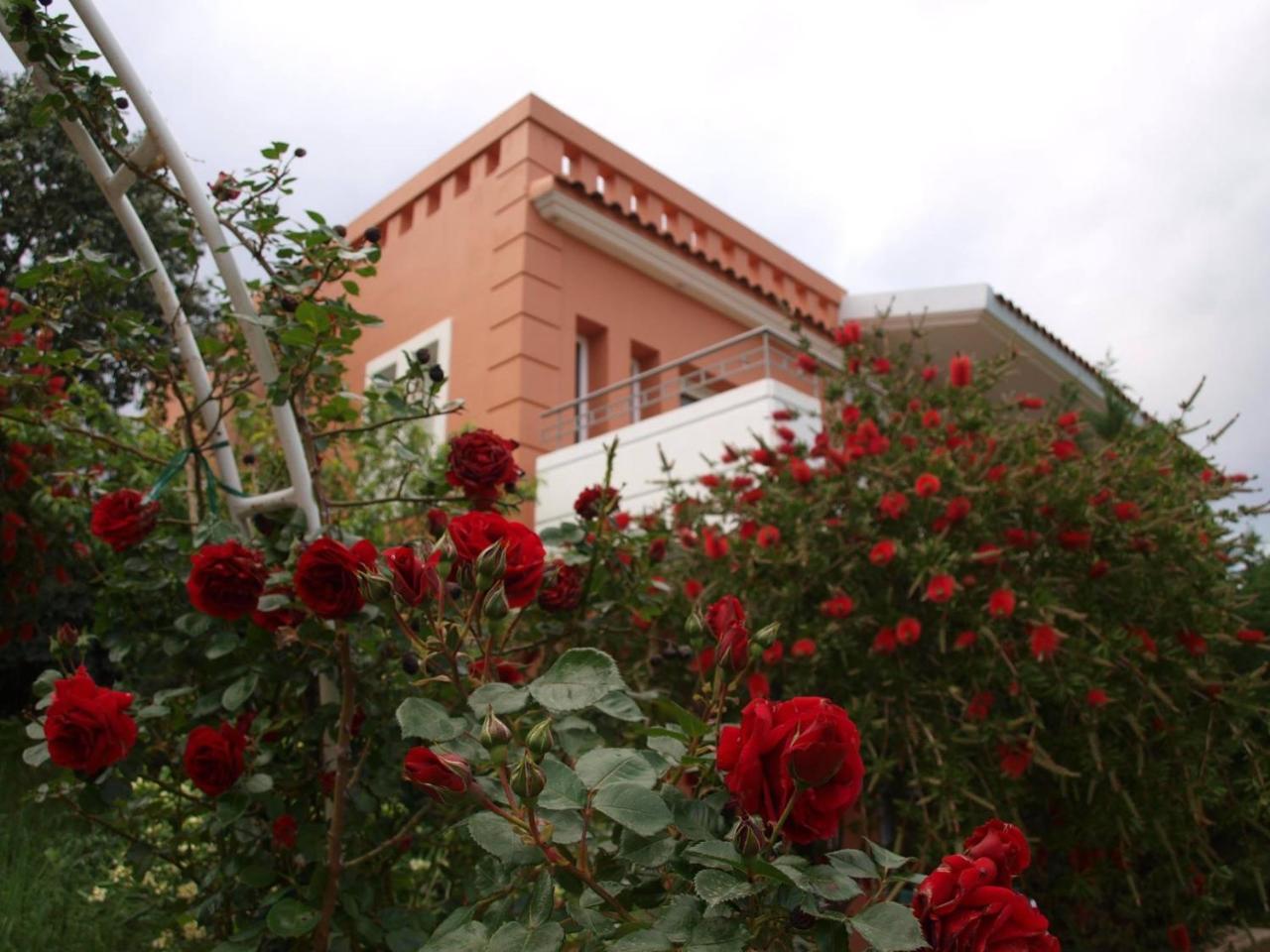 Thalassa Hotel & Spa Palairos ภายนอก รูปภาพ